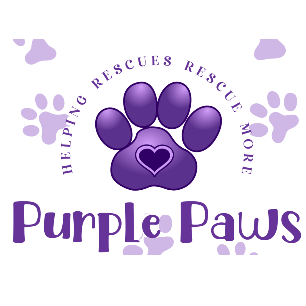 Purple Paws